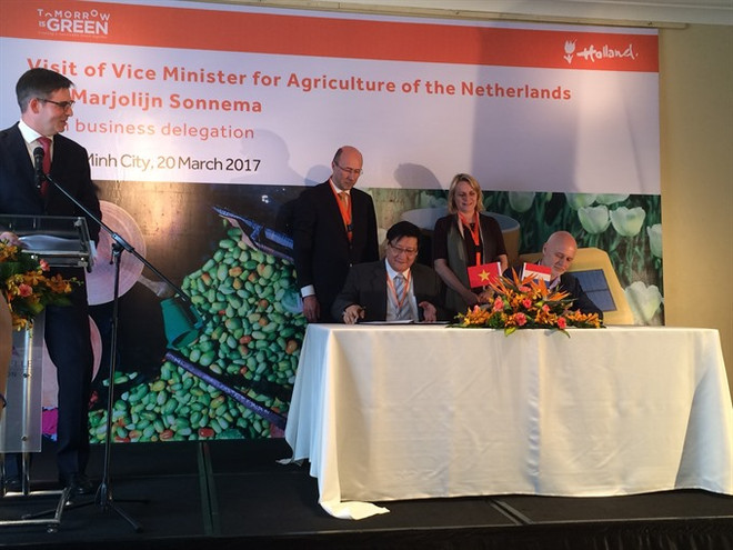 VN, Netherlands to up agriculture ties ảnh 1