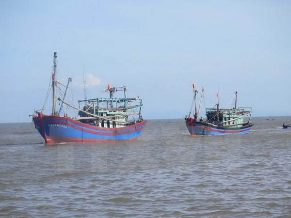 Thanh Hoa targets sustainable offshore fishing development ảnh 1