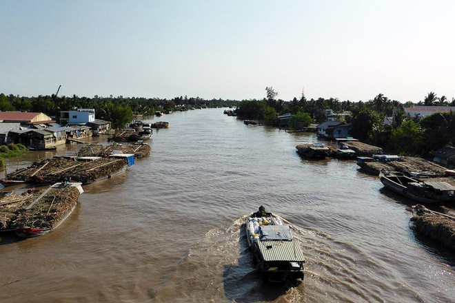 Seminar explores causes of subsidence in Mekong Delta ảnh 1