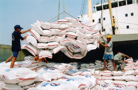 Vietnam’s rice exports drop in Q1 ảnh 1