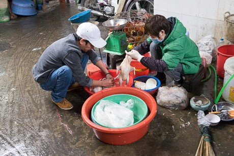 Poultry sale, slaughter raise avian flu fears ảnh 1