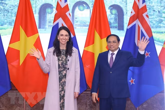 Common approach - advantage for Vietnam - New Zealand economic and trade relations: Ambassador ảnh 3