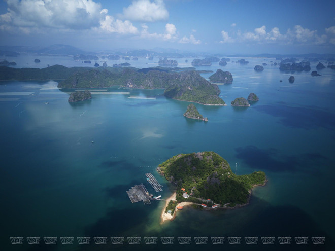 Banh Sua island offers ideal place for nature explorers ảnh 2