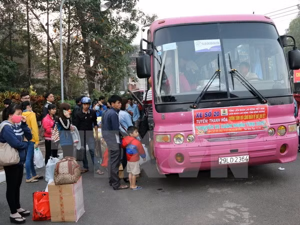 HCM City: Workers, students receive free bus tickets for Tet ảnh 1
