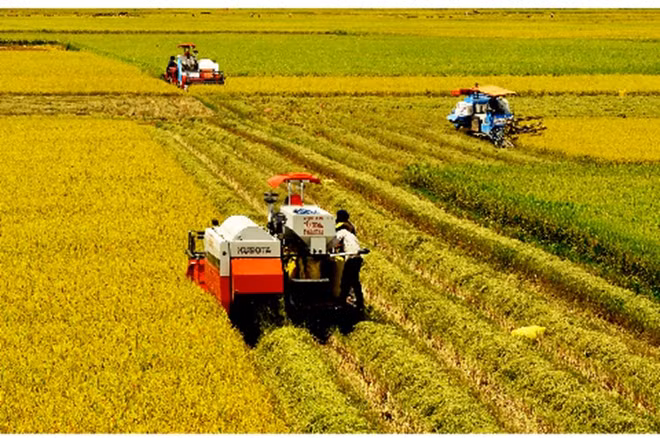 Cuba boosts cooperation with Mekong Delta ảnh 1