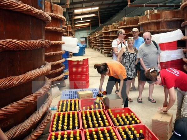 Vietnam to welcome 10 millionth foreign visitor in 2016 ảnh 1