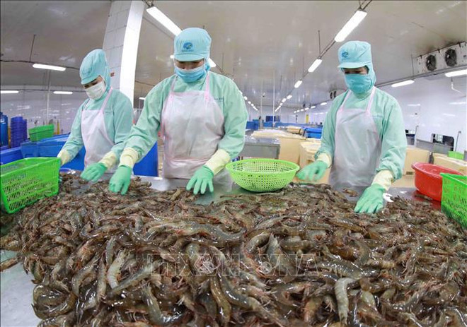 Aquatic exports post 34-percent-growth in 10 months ảnh 2 Aquatic exports post 34-percent-growth in 10 months ảnh 2