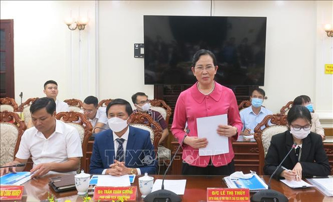 Vietnamese, Japanese localities look to boost investment cooperation ảnh 1