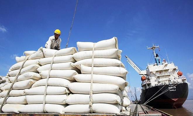Philippines remains biggest importer of Vietnamese rice ảnh 1