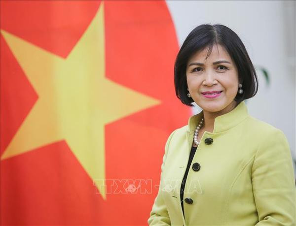 Vietnam hopes for further support from ILO: ambassador ảnh 1 Vietnam hopes for further support from ILO: ambassador ảnh 1