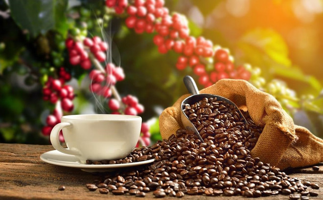 Coffee industry works to improve product value ảnh 1 Coffee industry works to improve product value ảnh 1