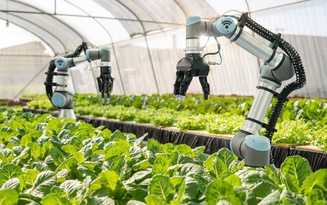 Application of Industry 4.0 technologies opens up new direction for Hanoi agriculture ảnh 1 Application of Industry 4.0 technologies opens up new direction for Hanoi agriculture ảnh 1