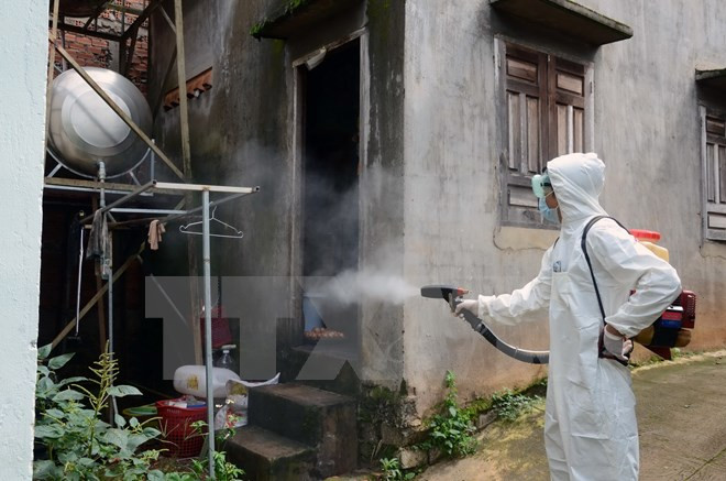 Dak Lak: Dengue fever patients surge in rainy season ảnh 1 Dak Lak: Dengue fever patients surge in rainy season ảnh 1