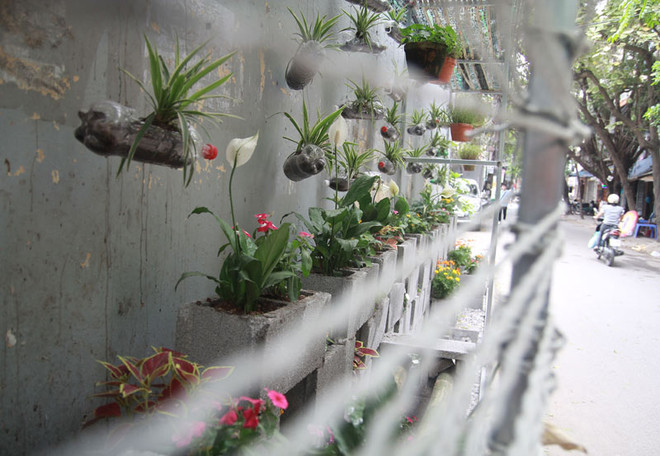 Gardens replace dumping areas in Hanoi ảnh 1