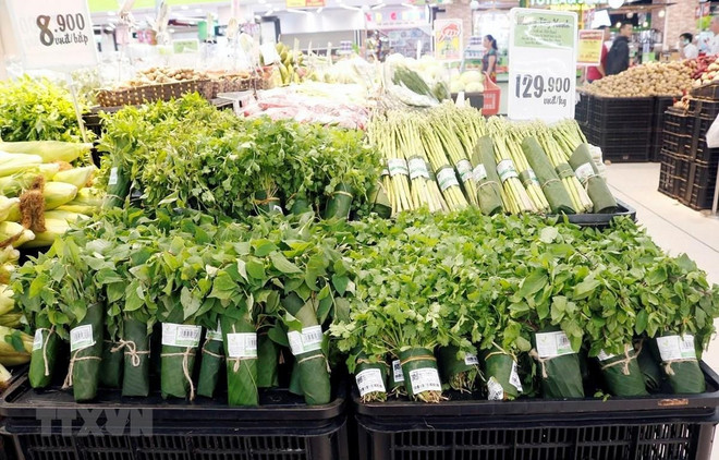 PM hails supermarkets using eco-friendly alternatives to plastic bags ảnh 1 PM hails supermarkets using eco-friendly alternatives to plastic bags ảnh 1