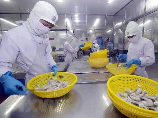 Minister asks for efforts to achieve shrimp export targets ảnh 1