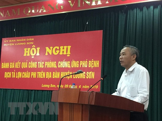 Hoa Binh province declares free from African swine fever ảnh 1