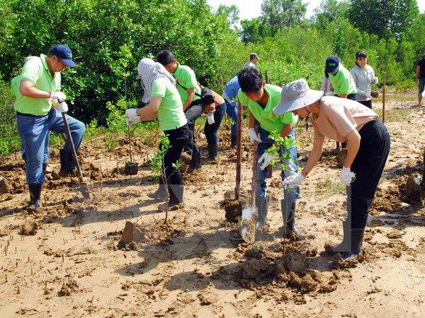 Vietnam, EU share expertise in coping with climate change ảnh 1