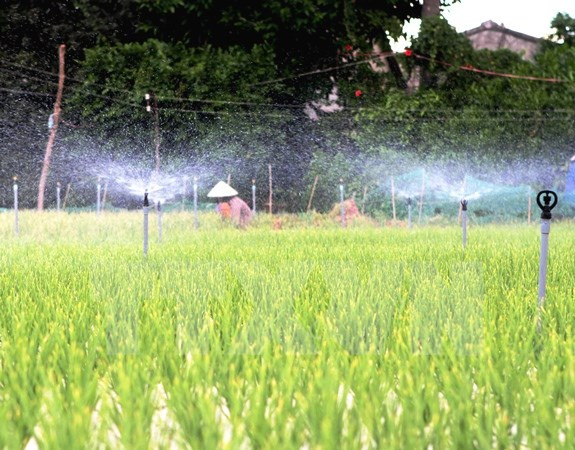 Mekong Delta province makes investment in irrigation ảnh 1