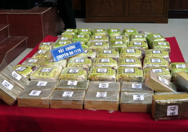Nam Dinh police bust drug trafficking ring ảnh 1