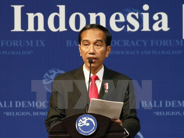 Indonesia turns to China for keeping economic growth ảnh 1