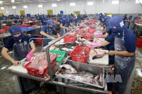 Agro-forestry-aquaculture export at 2.54 billion USD in January ảnh 1