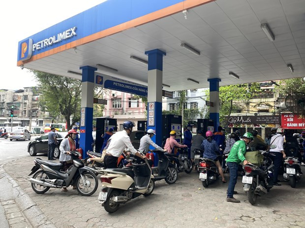 Japanese energy firm to hold 11 percent stake of Petrolimex ảnh 1
