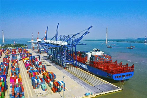 Cargo throughput at sea ports posts positive growth in January ảnh 1 Cargo throughput at sea ports posts positive growth in January ảnh 1