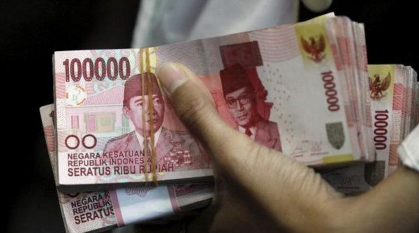 Indonesia becomes first Asian green bond issuer ảnh 1