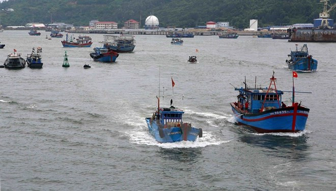 “Yellow card” warning motivates responsible, sustainable fishery: Minister ảnh 1