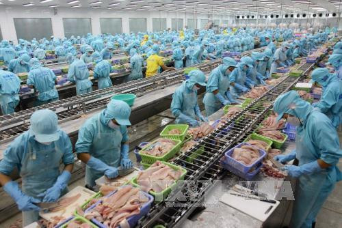 Vietnam yields over 2.6 million tonnes of aquatic products in nine months ảnh 1