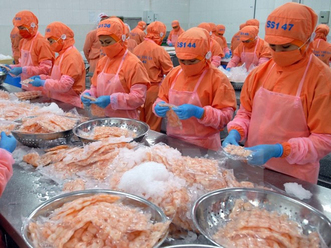 Tra fish fair kicks off in Hanoi ảnh 1