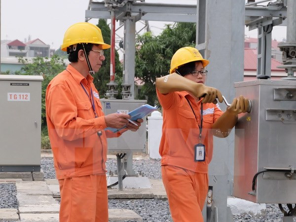 EVN, World Bank promote gender equality ảnh 1