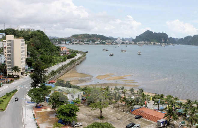 Quang Ninh’s cooperatives build linkages to survive ảnh 1
