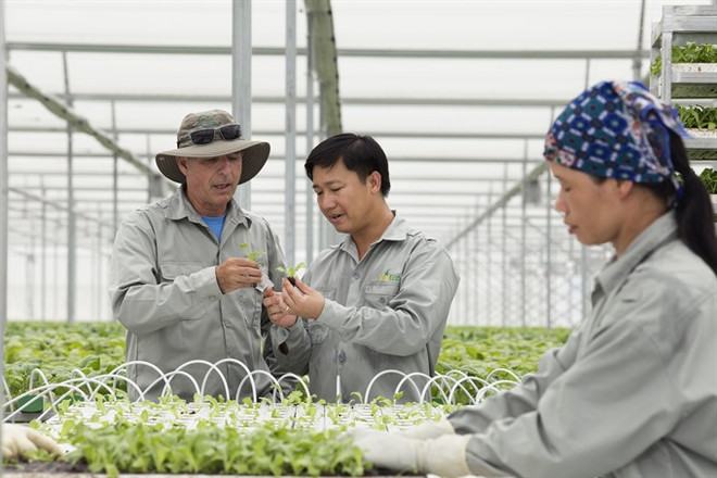 Hi-tech farms offer a vision of the future, today ảnh 1 Hi-tech farms offer a vision of the future, today ảnh 1