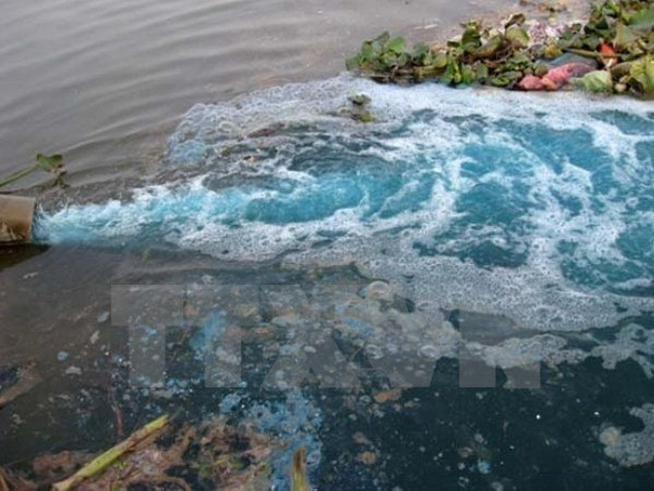 HCM City calls for Japan’s investment in environment industry ảnh 1