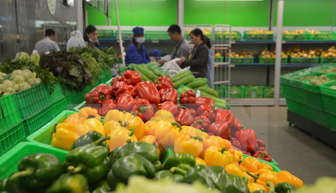 Vegetable, fruit exports estimated at 2.64 billion USD ảnh 1 Vegetable, fruit exports estimated at 2.64 billion USD ảnh 1