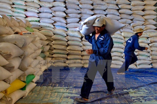 Cambodia exports over 400,000 tonnes of rice in nine months ảnh 1