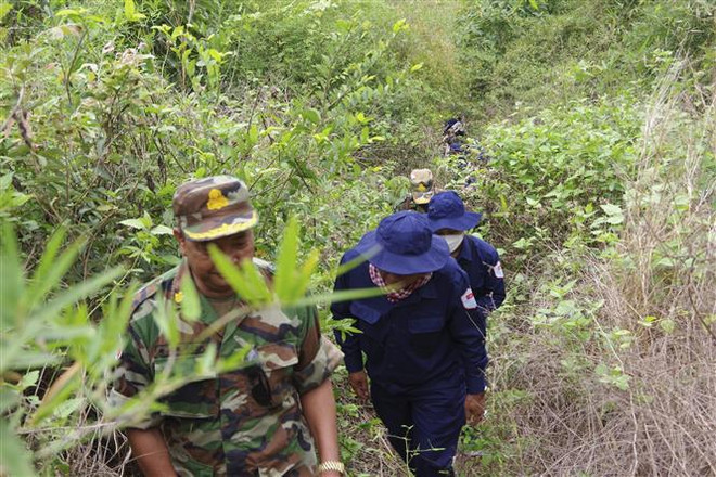 Long An soldiers strive to find martyrs' remains in Cambodia ảnh 1