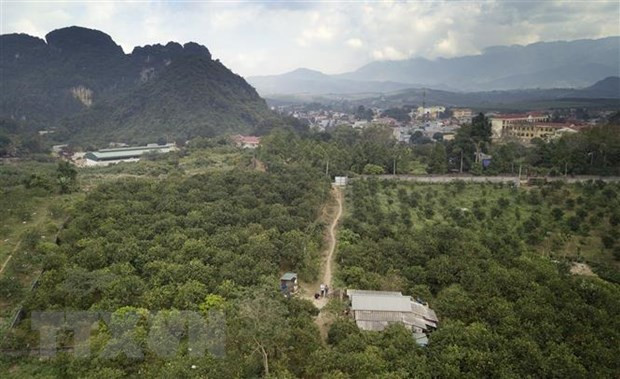 At least 80 percent of total communes hoped to be new-style rural areas by 2025 ảnh 1 At least 80 percent of total communes hoped to be new-style rural areas by 2025 ảnh 1