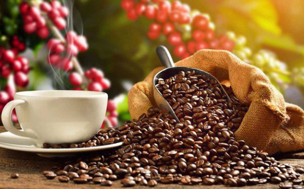 Japan’s coffee imports from Vietnam increase ảnh 1