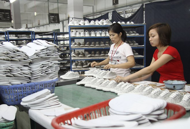 Vietnam boasts opportunities to export products to Africa, Middle East ảnh 1