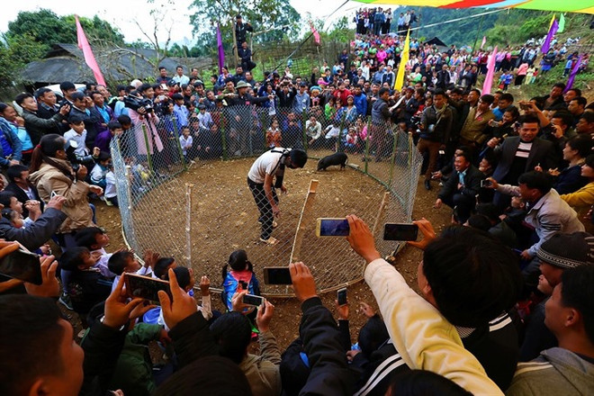 Tet arrives early for northern Mong ethnic village ảnh 1