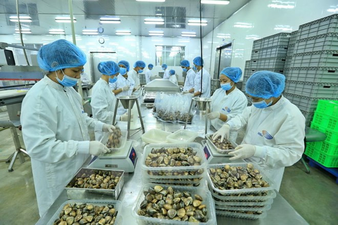 Vietnam’s exports likely to hit all-high 212 billion USD this year ảnh 1