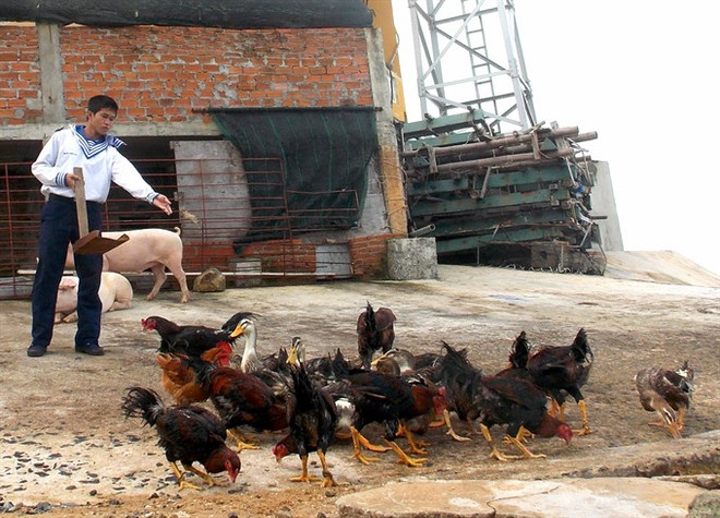 New bio-based waste treatment developed by Vietnamese scientists ảnh 1 New bio-based waste treatment developed by Vietnamese scientists ảnh 1