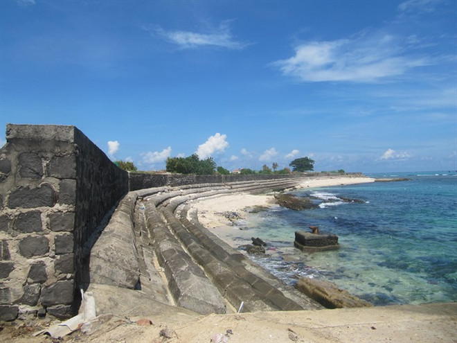 Sea turtle safety awareness plan to launch in 2018 ảnh 1 Sea turtle safety awareness plan to launch in 2018 ảnh 1
