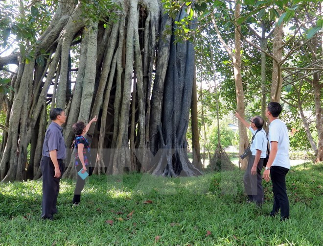 PM approves plan to develop Tan Trao tourism site ảnh 1 PM approves plan to develop Tan Trao tourism site ảnh 1