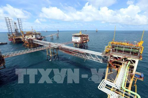 Vietsovpetro eyes 4 million tonnes of oil in 2018 ảnh 1