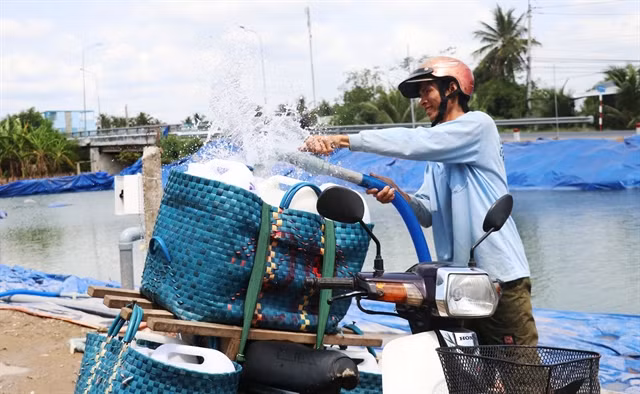 Five provinces receive funds to fight saltwater intrusion ảnh 1