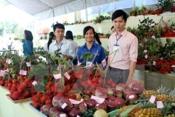 Vegetable, fruit exports hoped to hit record high ảnh 1